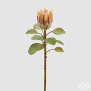 Protea_Olis_zelena_h65
